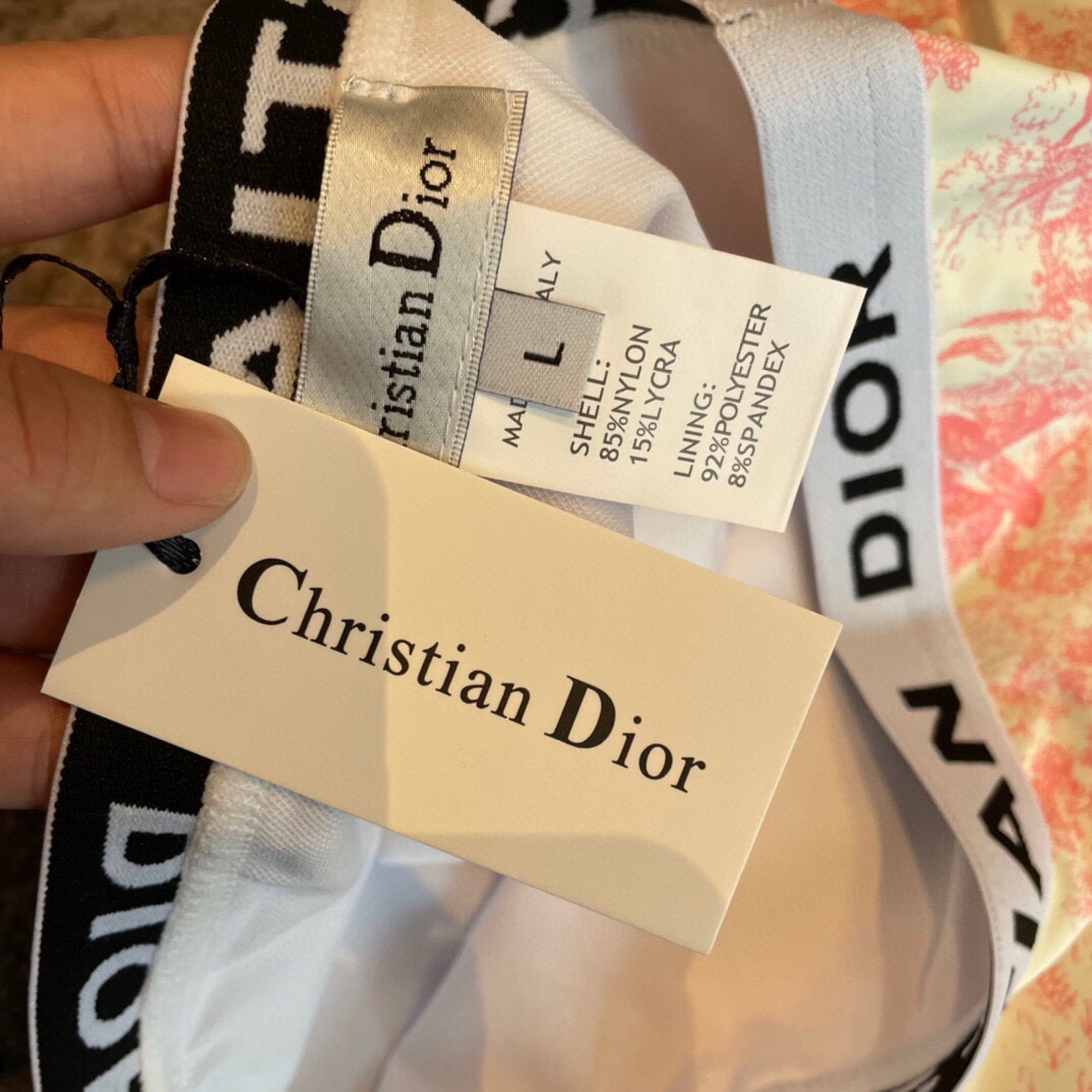 Dior split bikini swimming costume