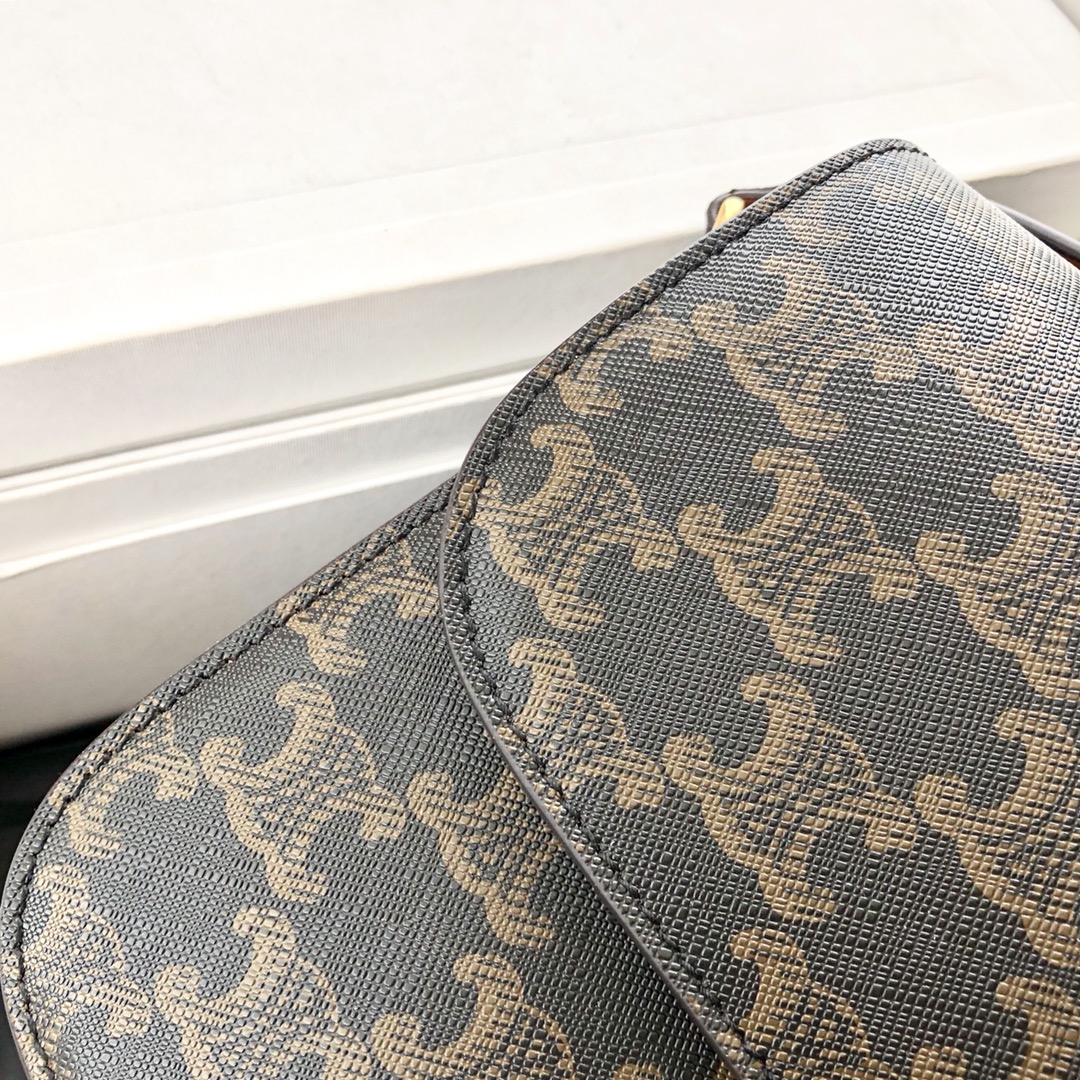 𝐂𝐞𝐥𝐢𝐧𝐞 Triomphe Medium 22.5cm