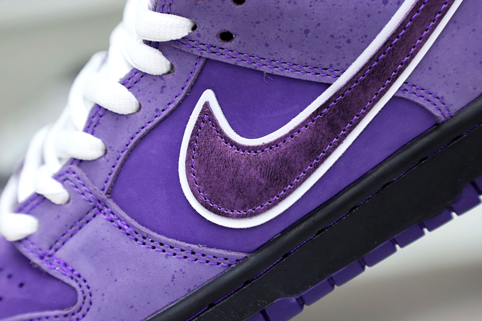 Concepts x Nike SB Dunk Low Pro OG QS Purple Lobster