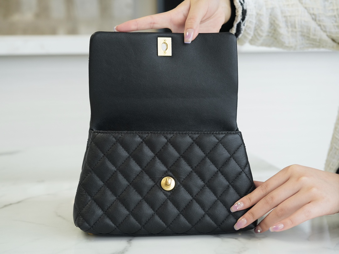 CHANEL 𝐂𝐨𝐂𝐨 𝐇𝐚𝐧𝐝𝐥𝐞 bag Lizard skin handle small black