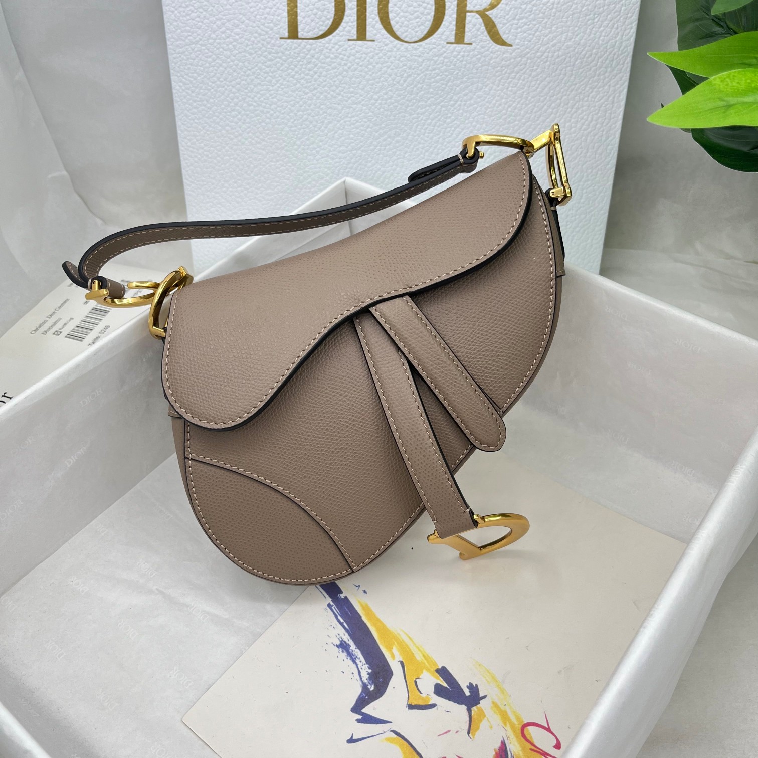 Dior saddle palm print collection