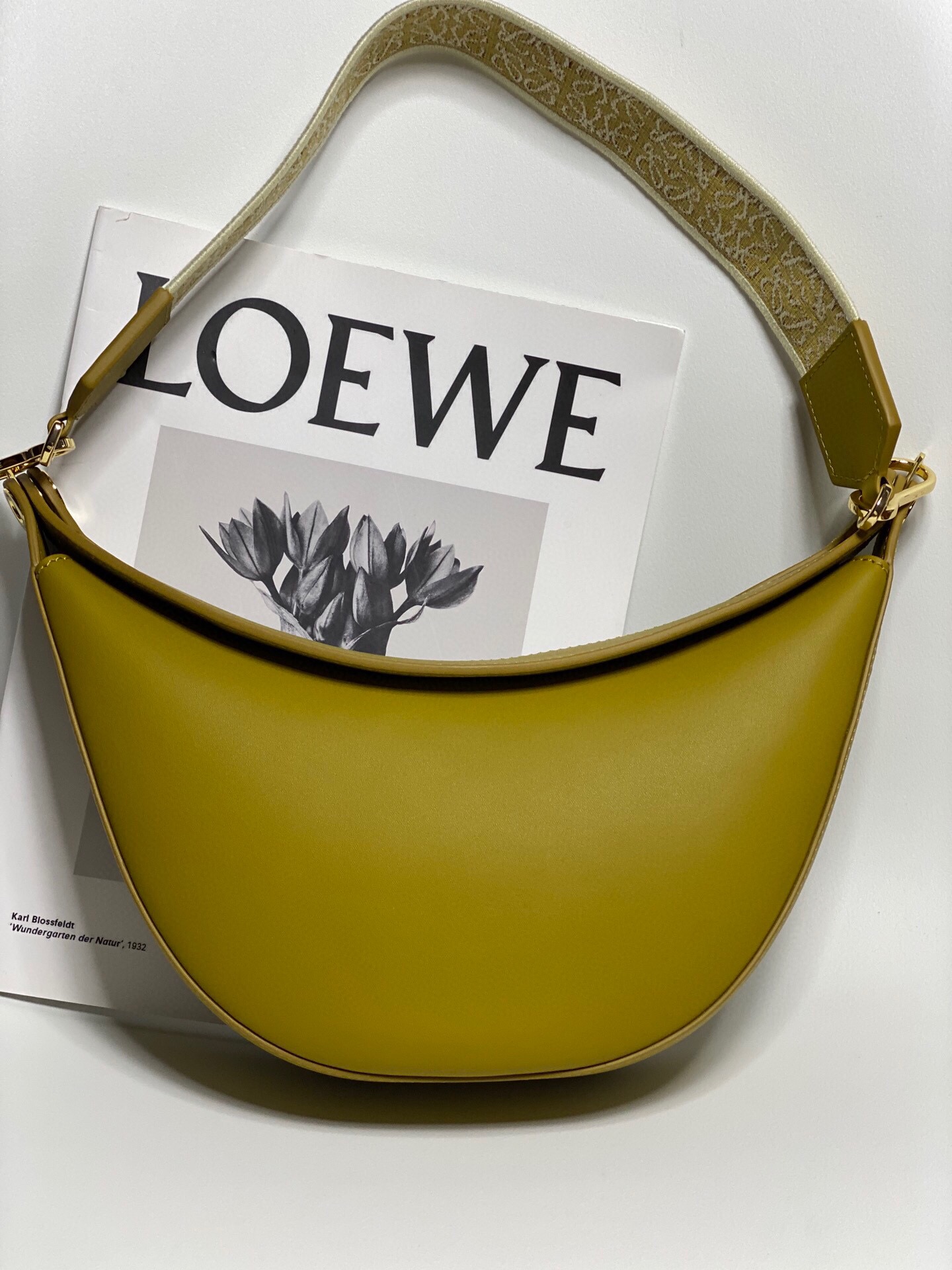 LOEWE Luna moon bag#1093