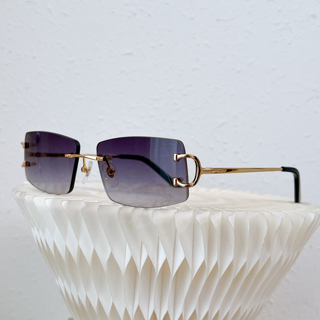 Cartier-CT0093