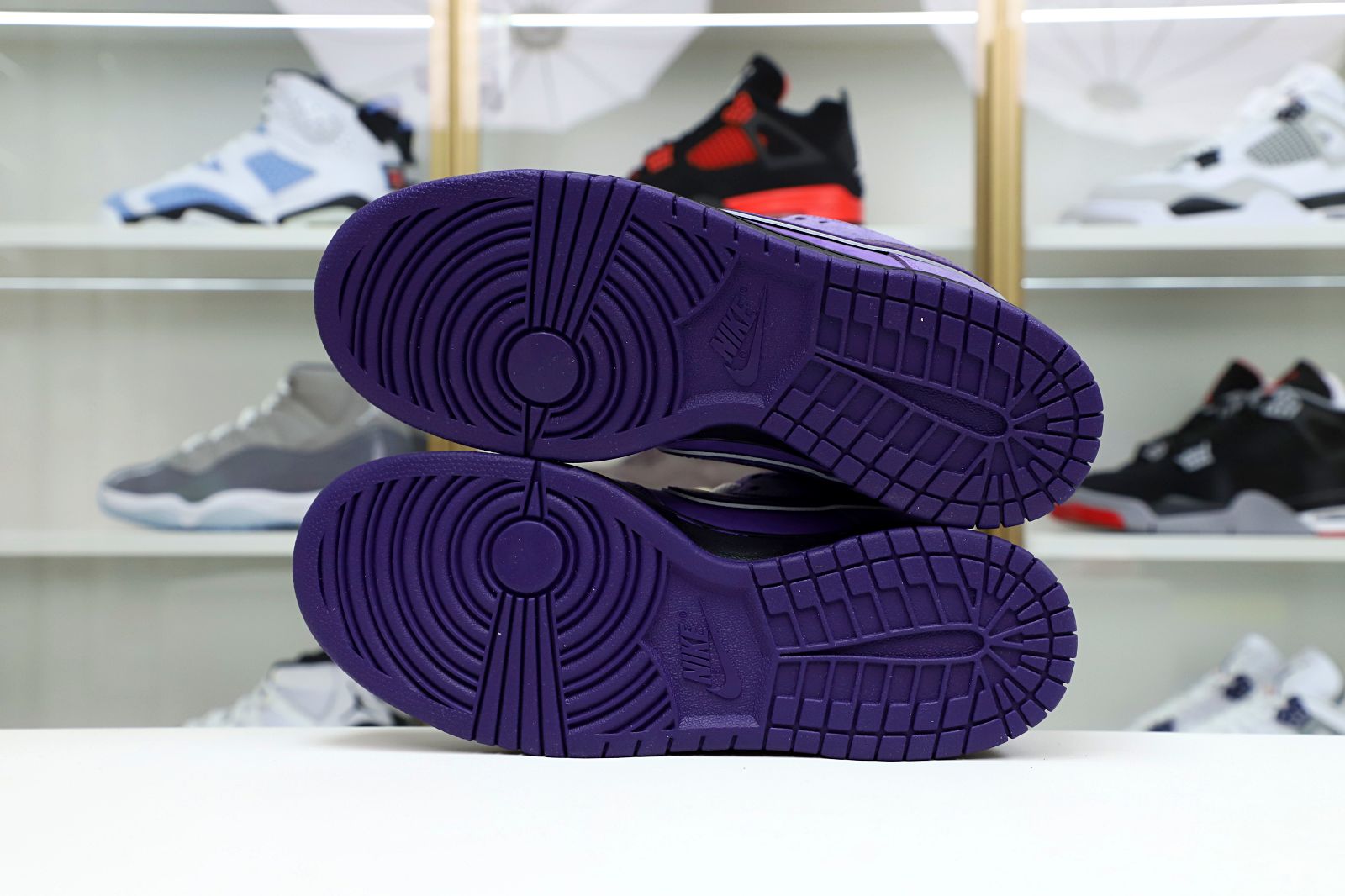 Concepts x Nike SB Dunk Low Pro OG QS Purple Lobster