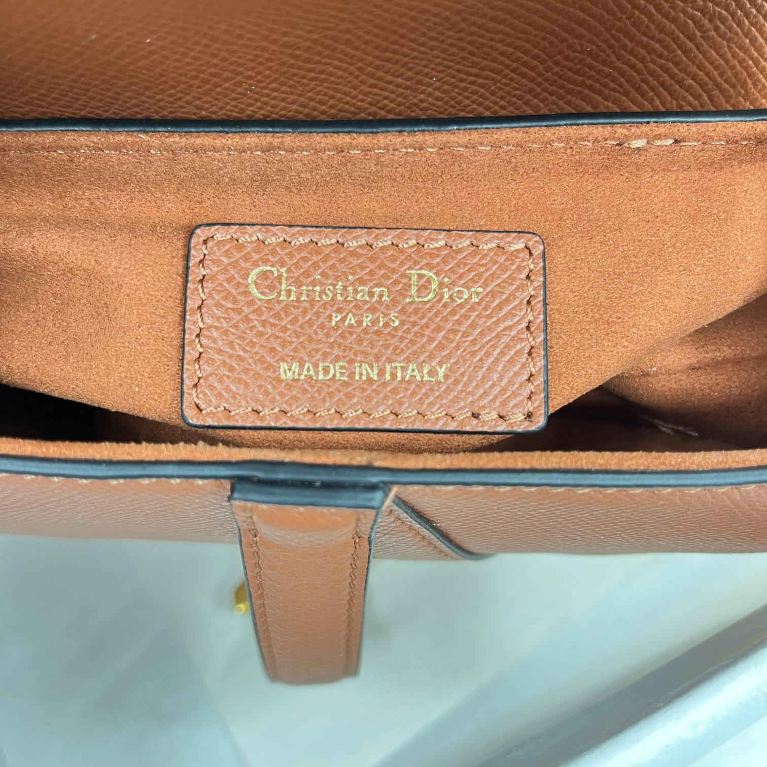 Dior saddle palm print collection