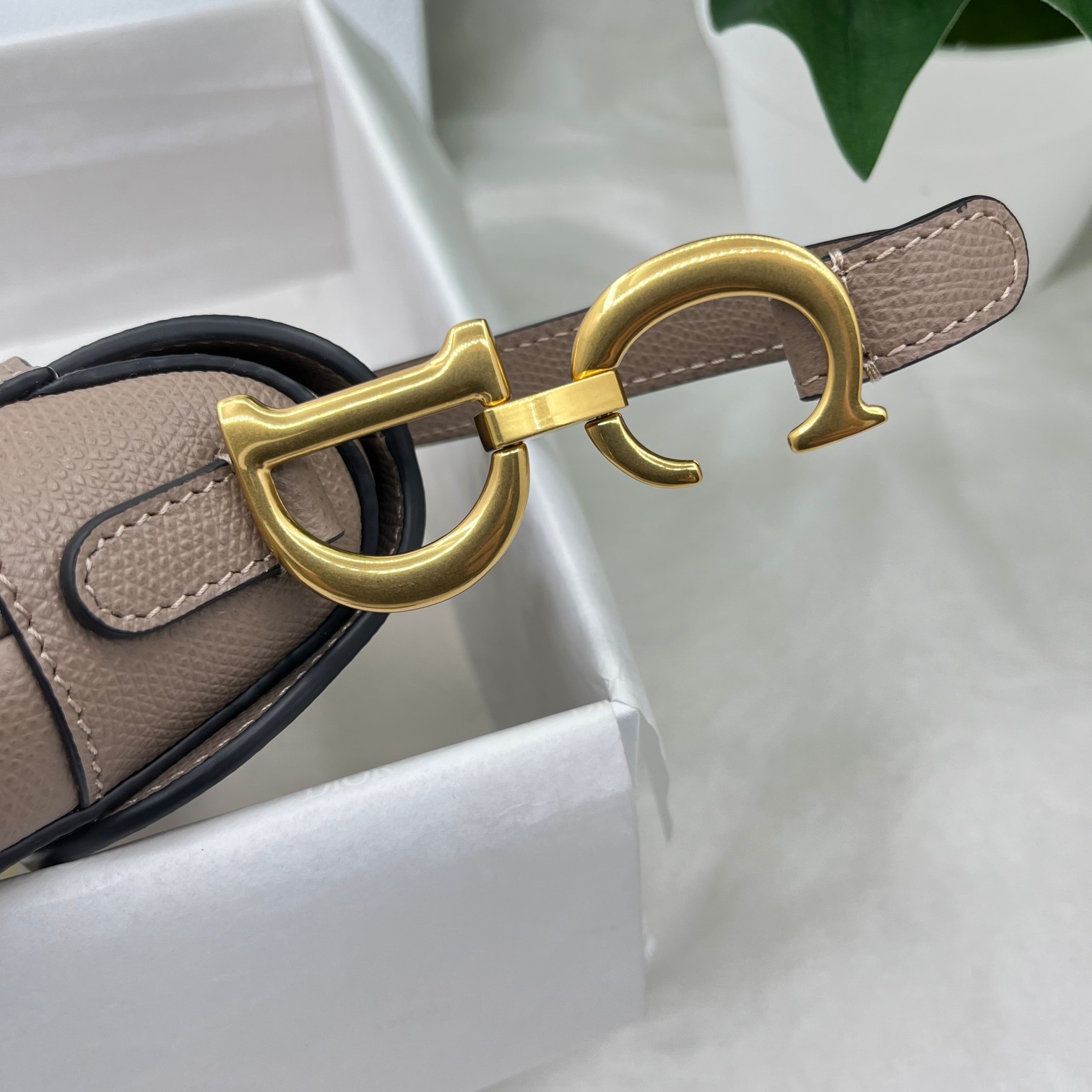 Dior saddle palm print collection