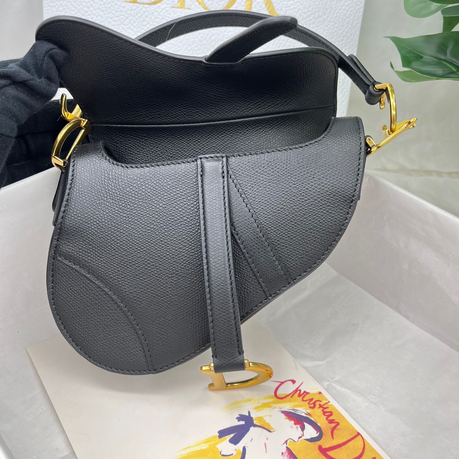 Dior saddle palm print collection