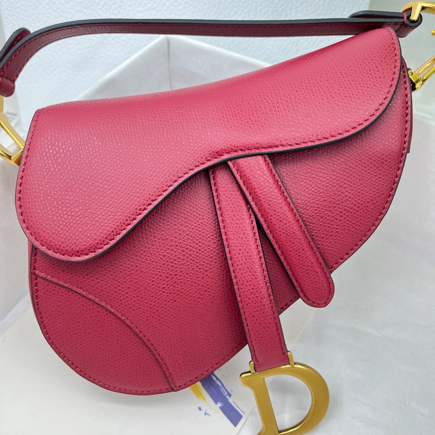 Dior saddle palm print collection