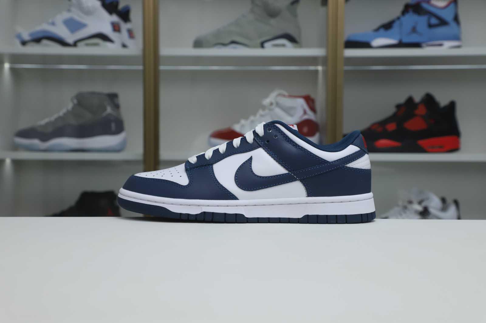 Nike Dunk Low Retro Valerian Blue