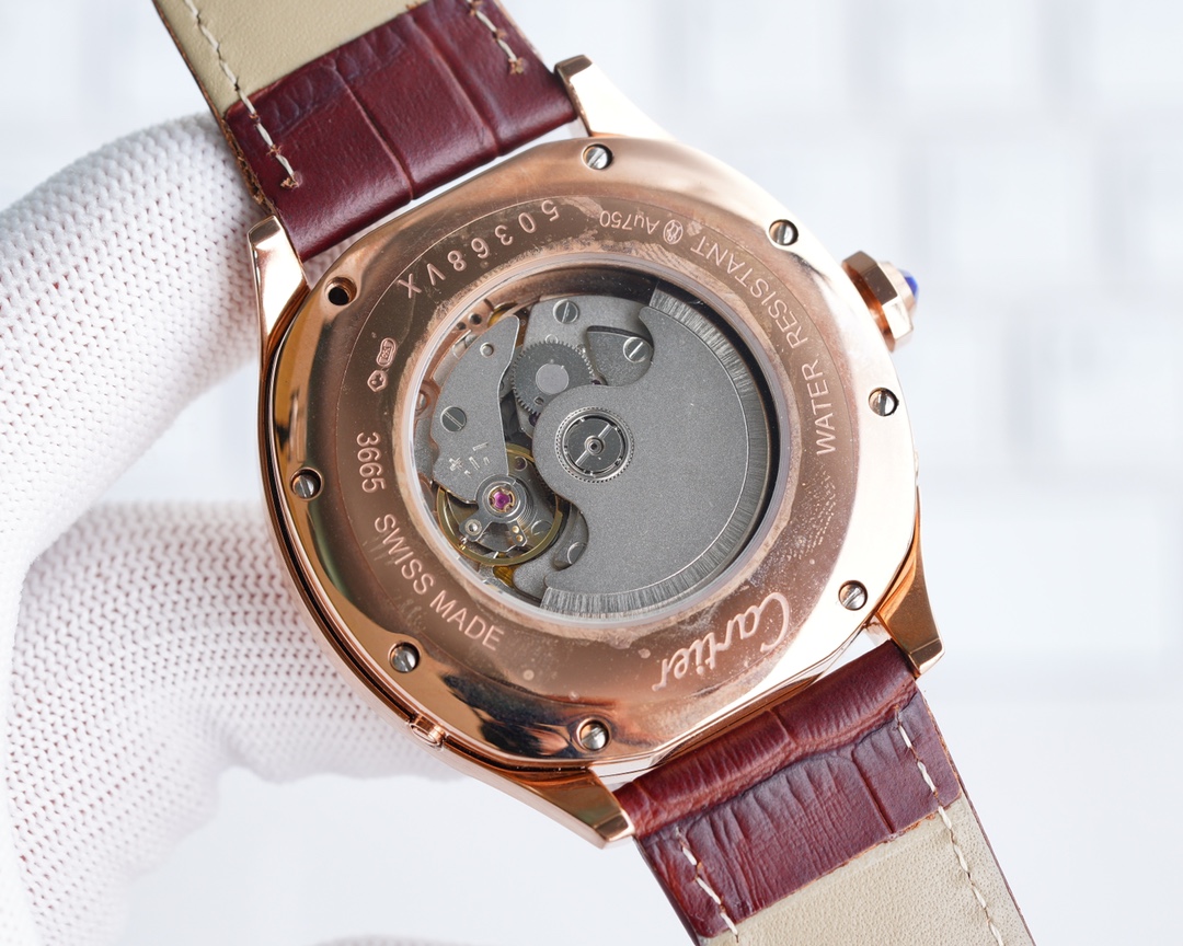 Cartier Fine Men's Watches