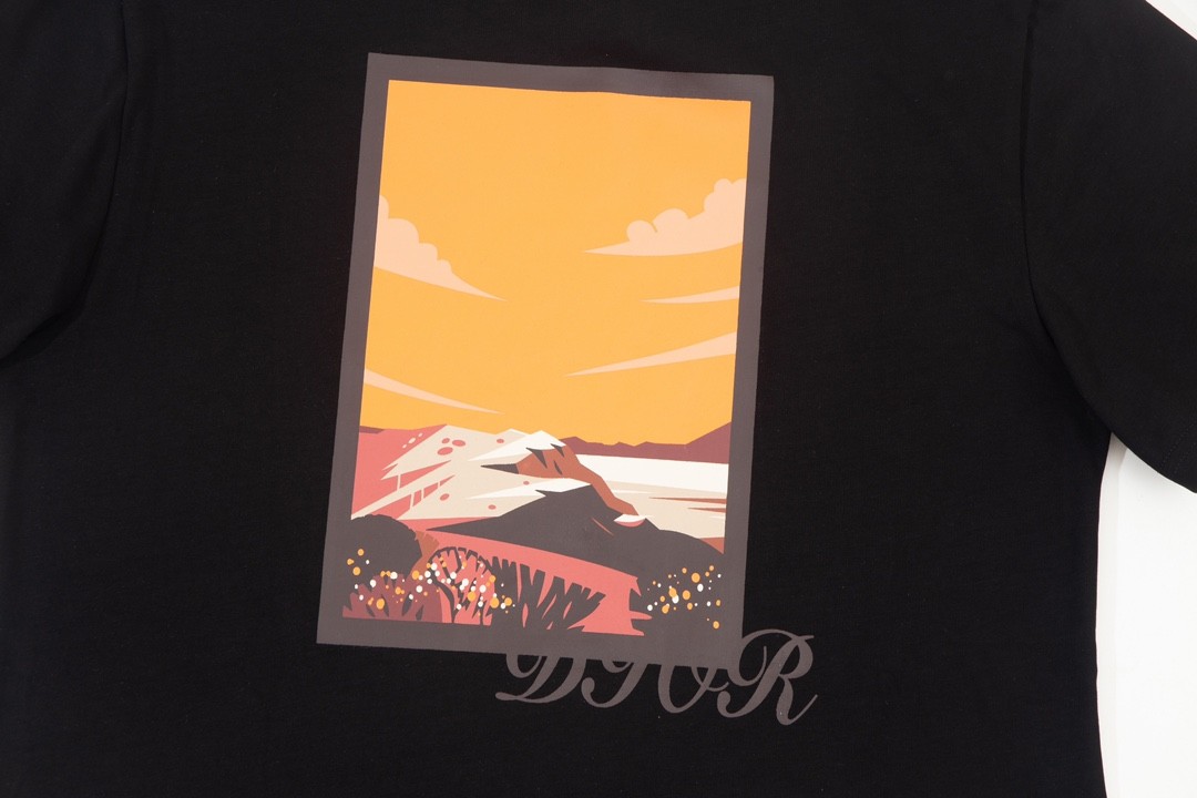 Dior 23FW spring/summer classic T-shirt