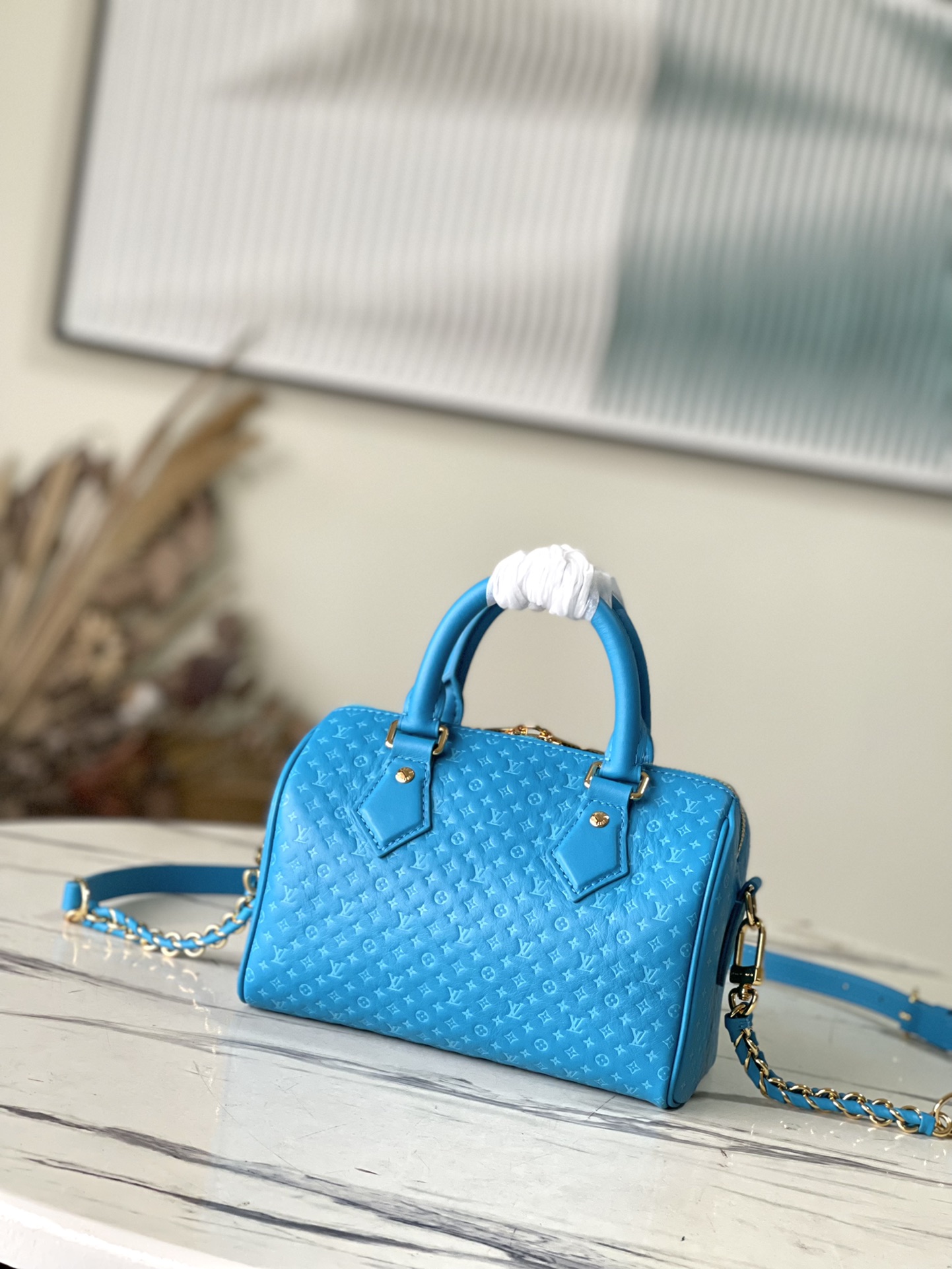 𝐋𝐎𝐔𝐈𝐒 𝐕𝐔𝐈𝐓𝐓𝐎𝐍    M22596