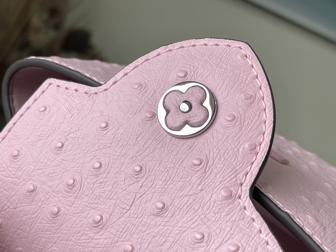 𝐋𝐎𝐔𝐈𝐒 𝐕𝐔𝐈𝐓𝐓𝐎𝐍    M95393