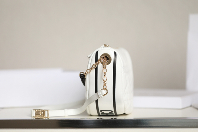 DIOR VIBE Medium Dumpling Bag