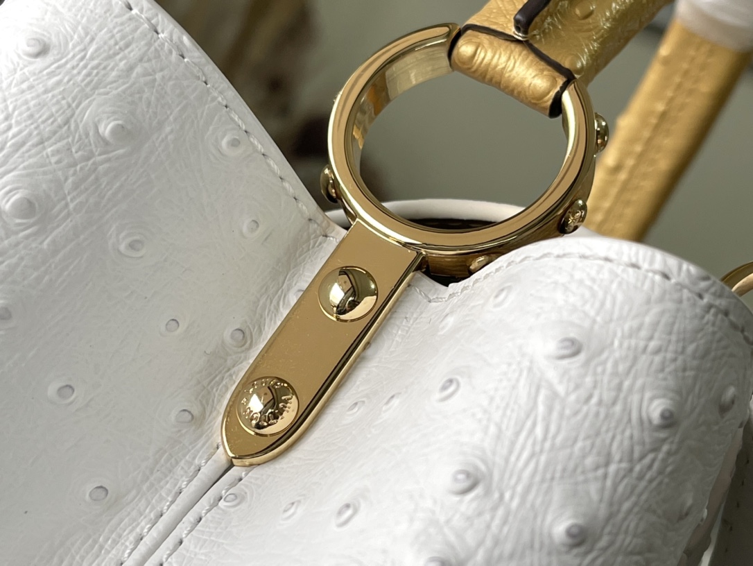 𝐋𝐎𝐔𝐈𝐒 𝐕𝐔𝐈𝐓𝐓𝐎𝐍    M95393