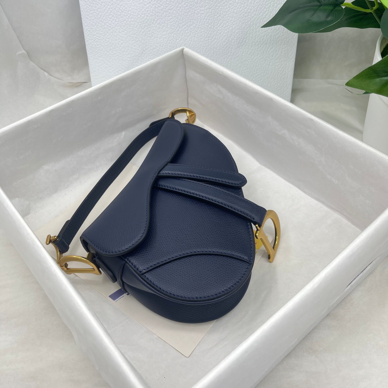 Dior saddle palm print collection