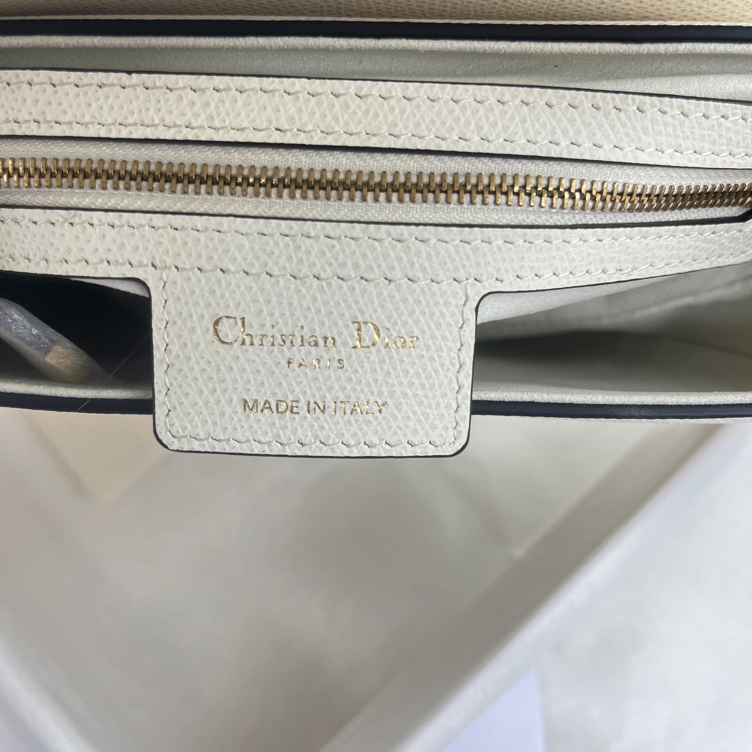 Dior saddle palm print collection