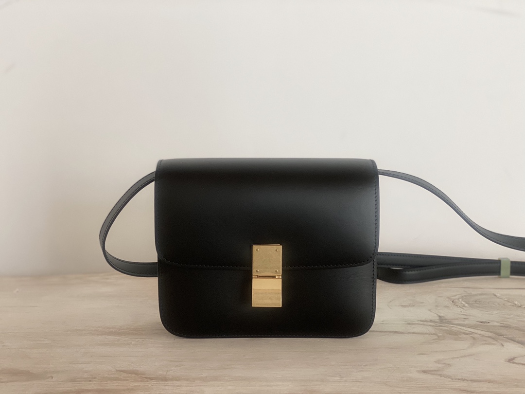 𝐂𝐞𝐥𝐢𝐧𝐞 Box Teen bag in polished calfskin