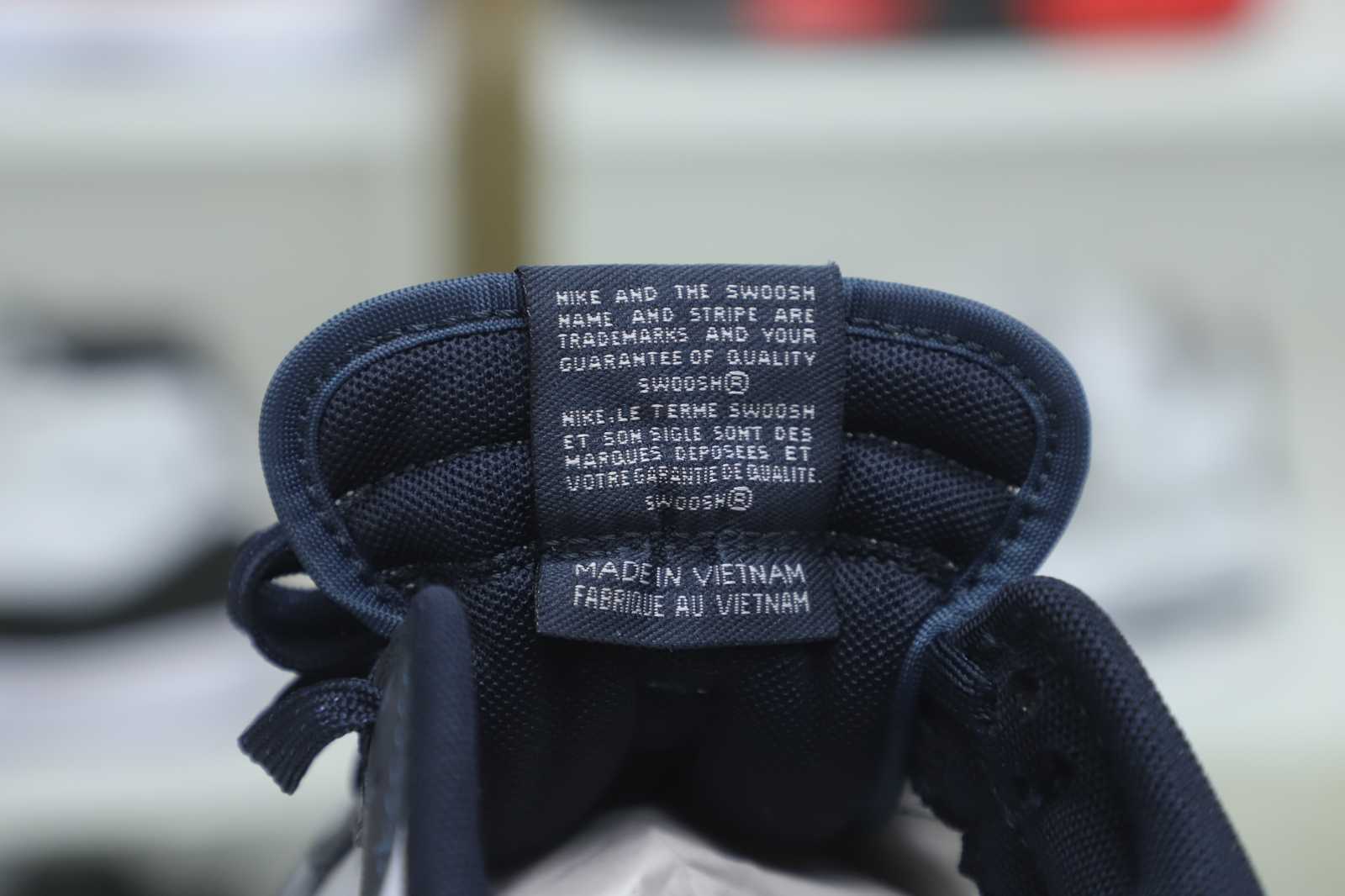 Nike Dunk Low Retro Georgetown