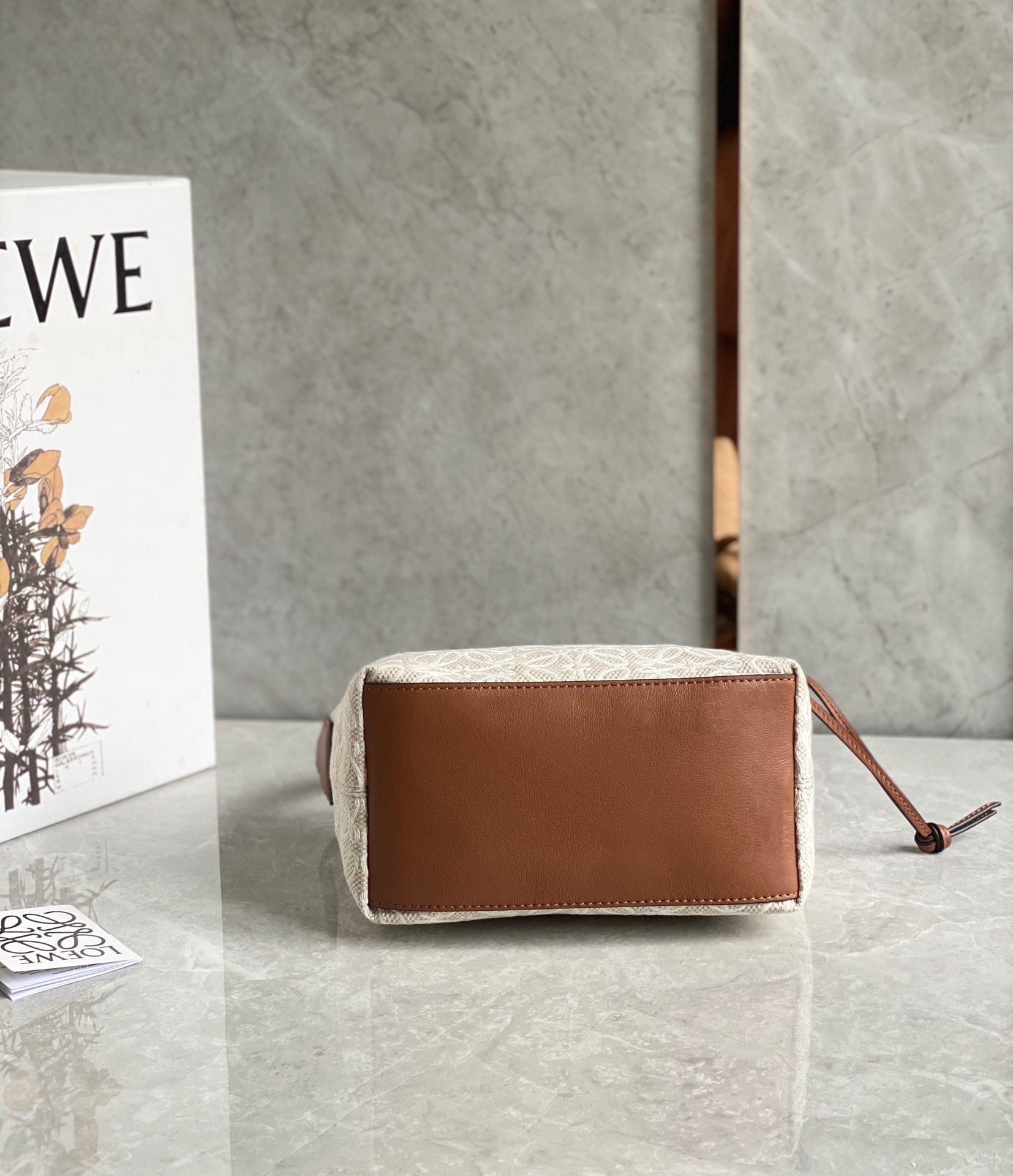 LOEWE cubi bento bag