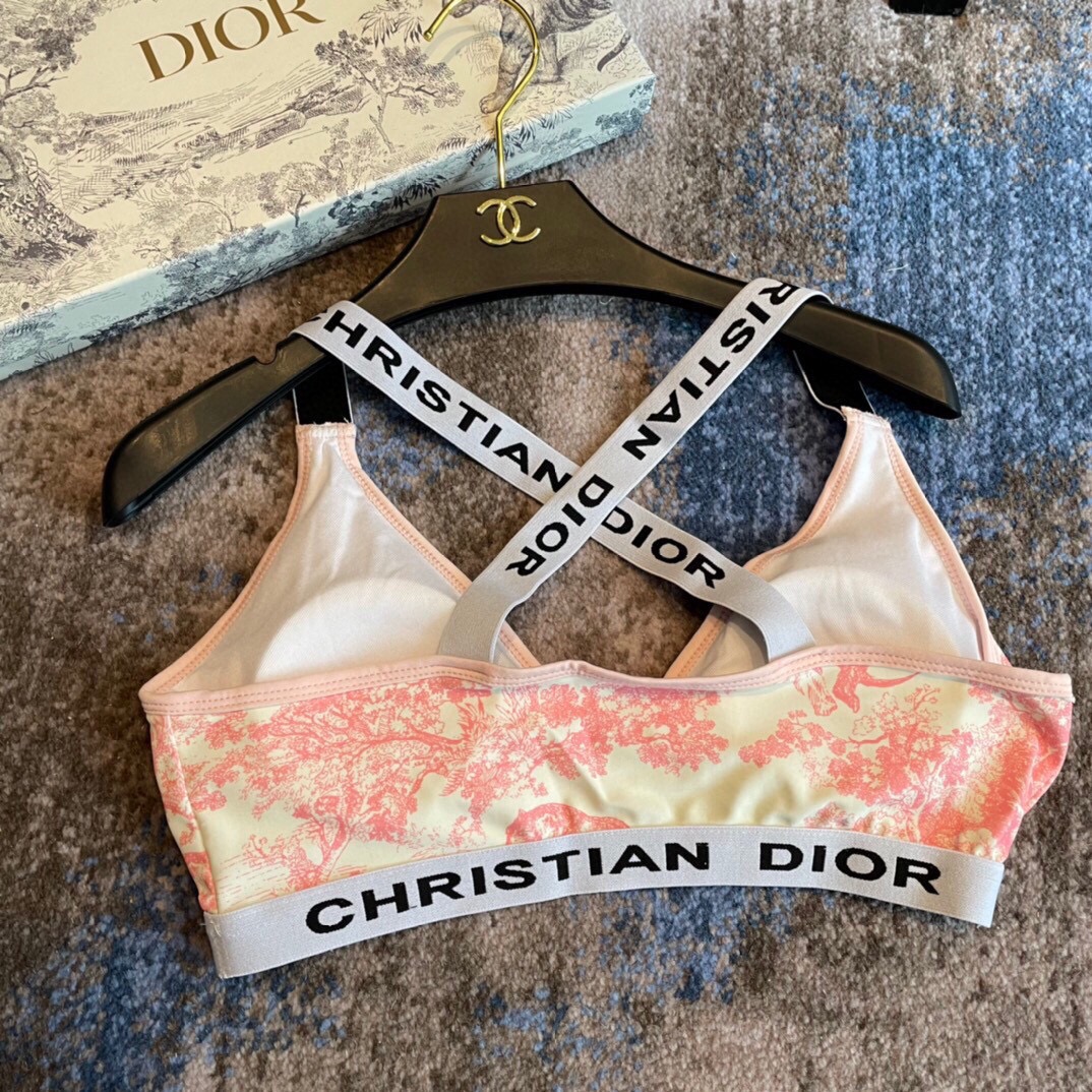 Dior split bikini swimming costume