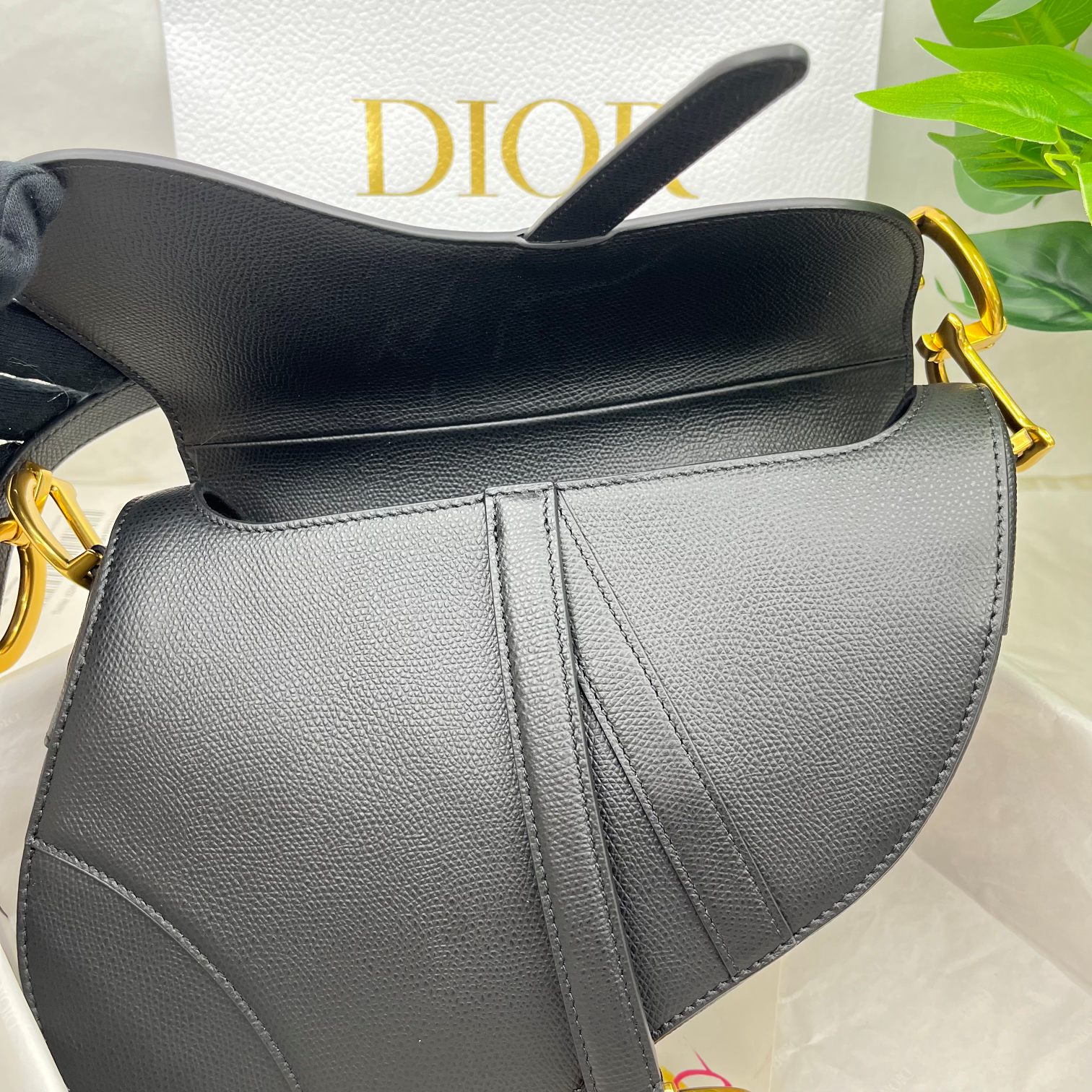 Dior saddle palm print collection