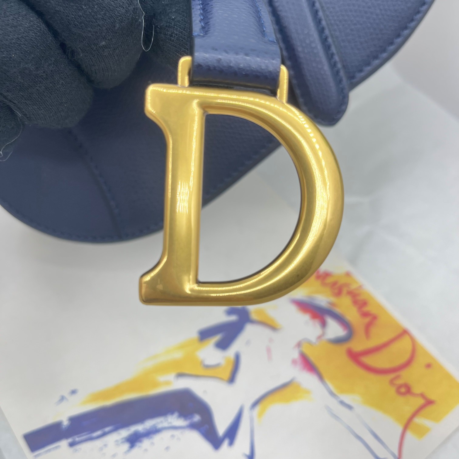 Dior saddle palm print collection