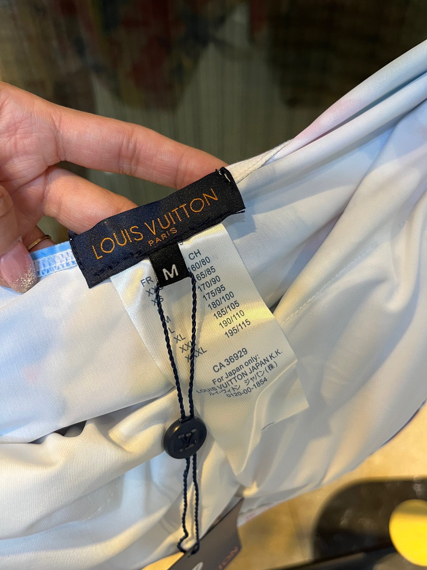 Louis Vuitton New one-piece swimming costume