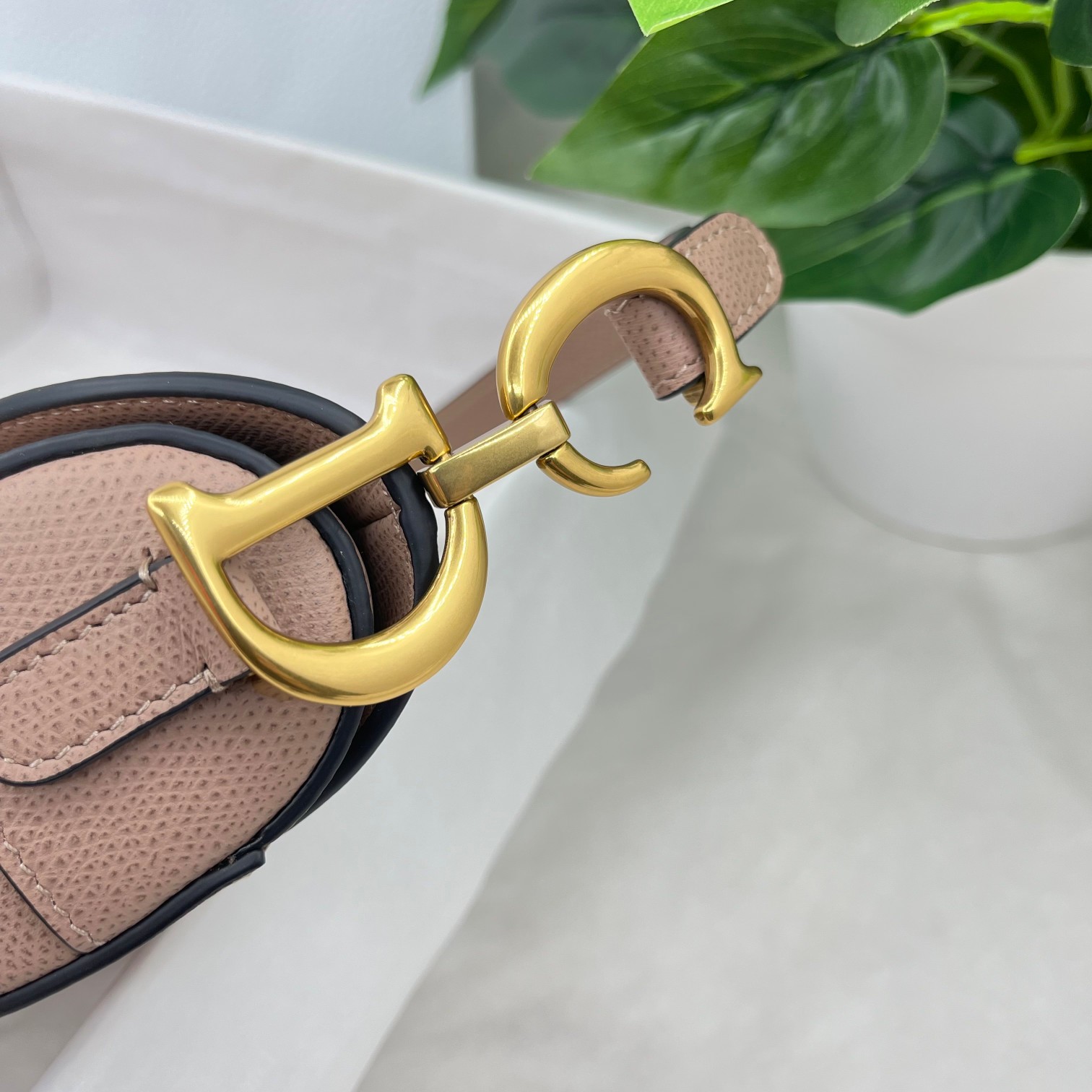 Dior saddle palm print collection