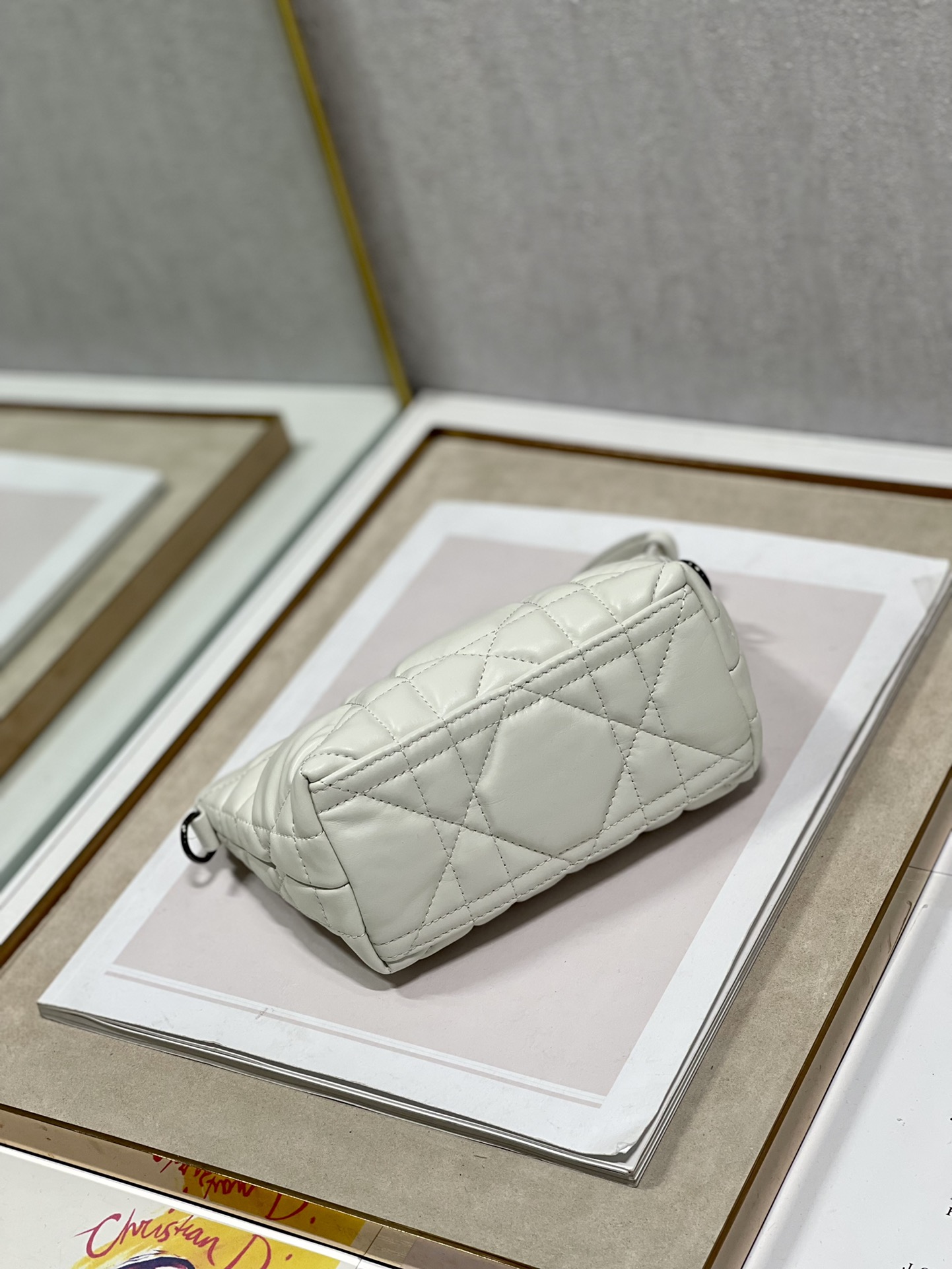 Dior Travel Nomad Clutch Bag