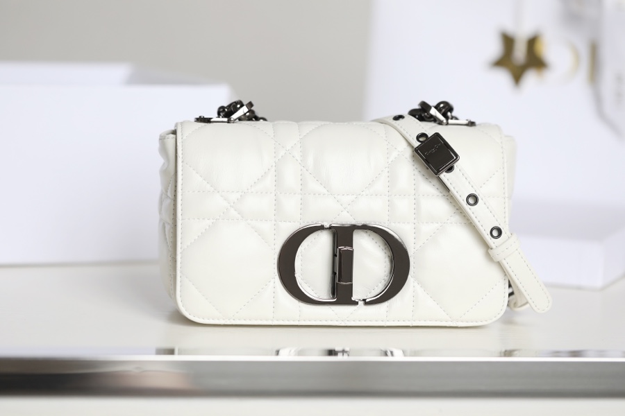 ▪️ DIOR CARO White Gunmetal Buckle DR-061