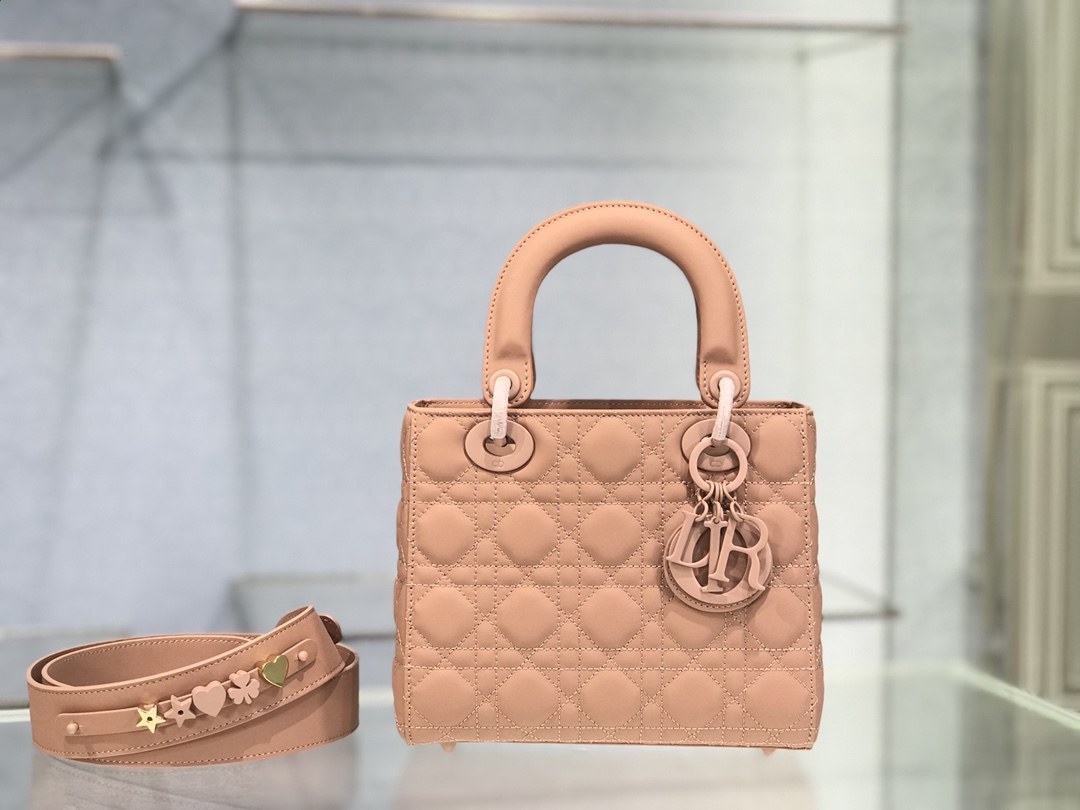 Lady Dior My  Four-compartment frosted