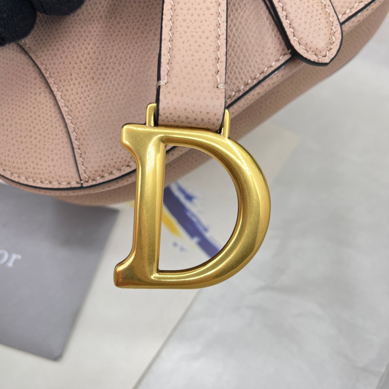 Dior saddle palm print collection