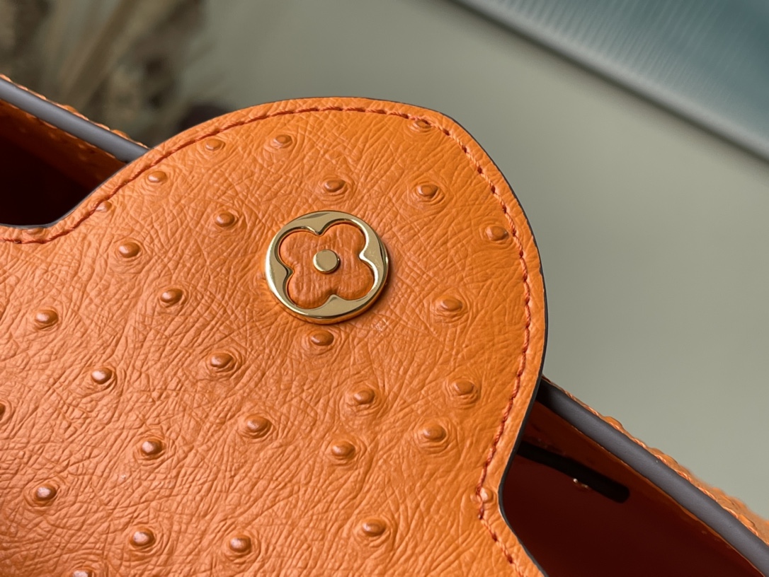 𝐋𝐎𝐔𝐈𝐒 𝐕𝐔𝐈𝐓𝐓𝐎𝐍    M95393