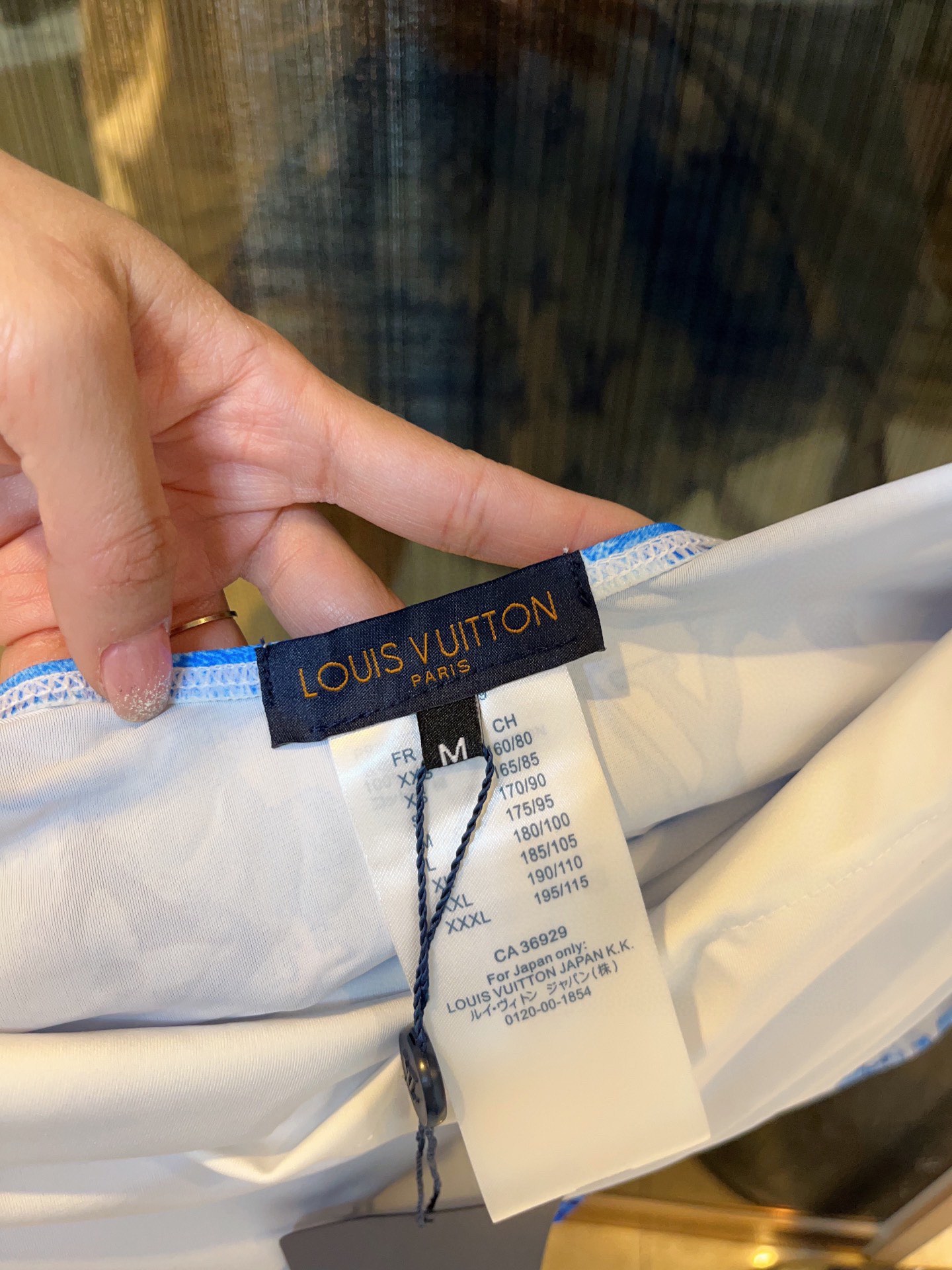 Louis Vuitton New one-piece swimming costume