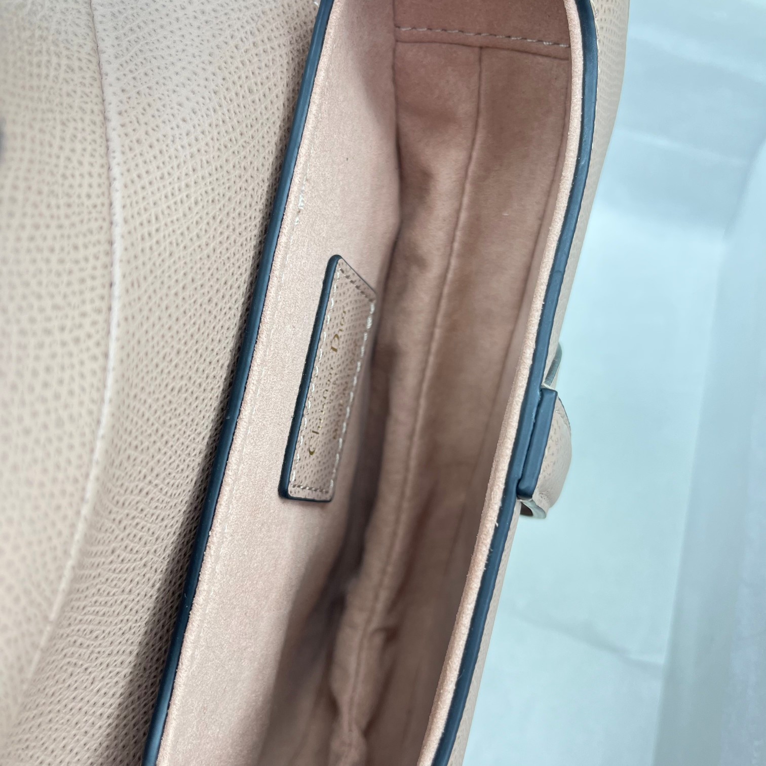 Dior saddle palm print collection