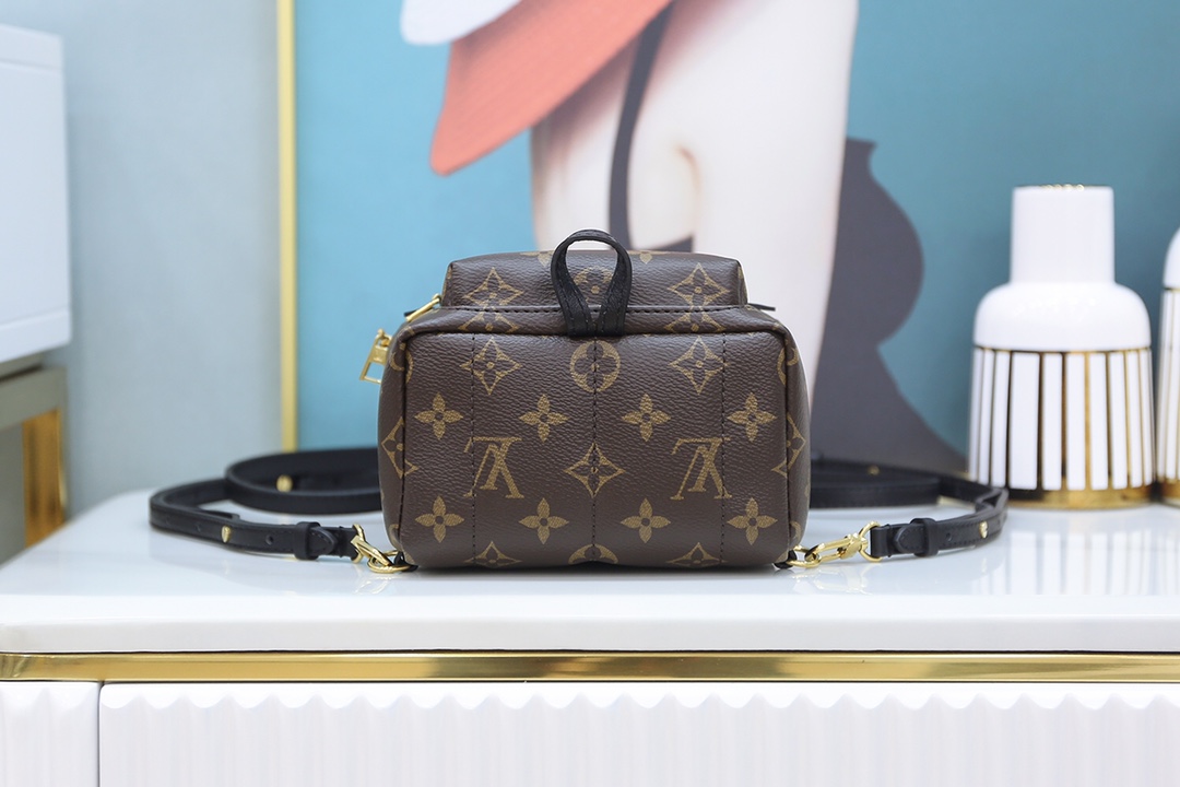 Louis Vuitton 𝐏𝐀𝐋𝐌 𝐒𝐏𝐑𝐈𝐍𝐆𝐒mini backpack🎒M44873