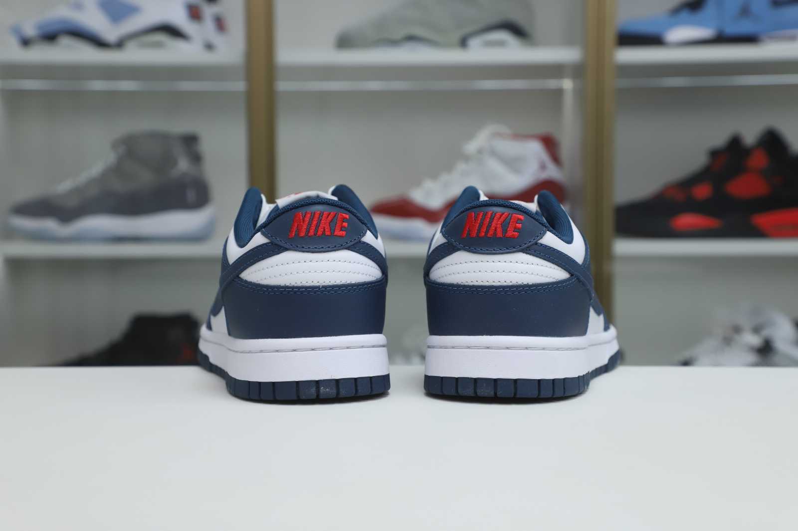 Nike Dunk Low Retro Valerian Blue