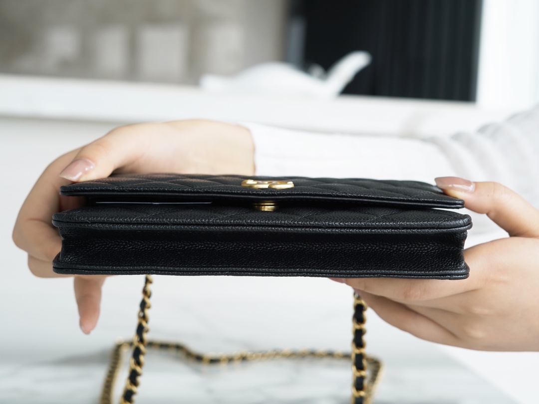 𝗖𝗛𝗔𝗘𝗡𝗟✦ 𝟐𝟐𝗣 Spring/Summer new handle Woc