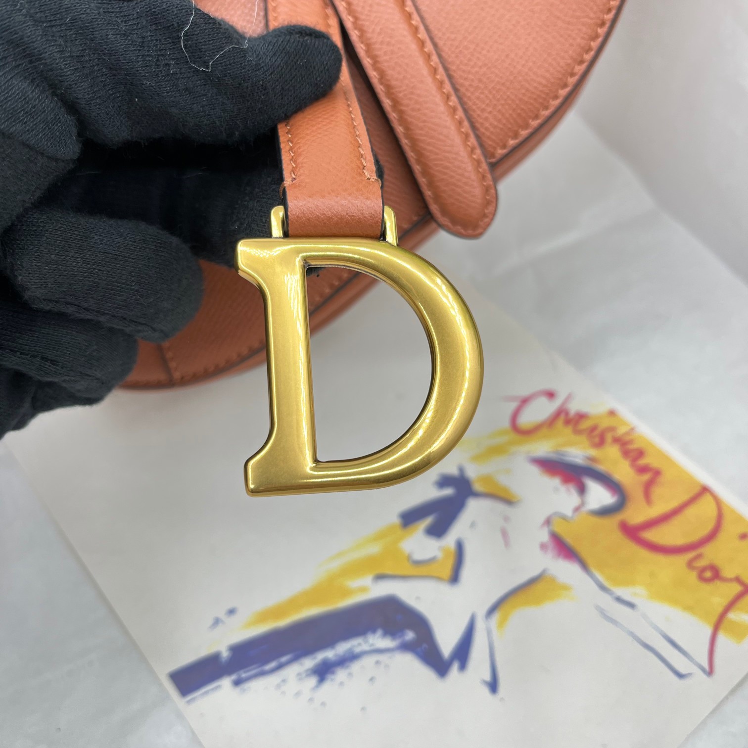 Dior saddle palm print collection