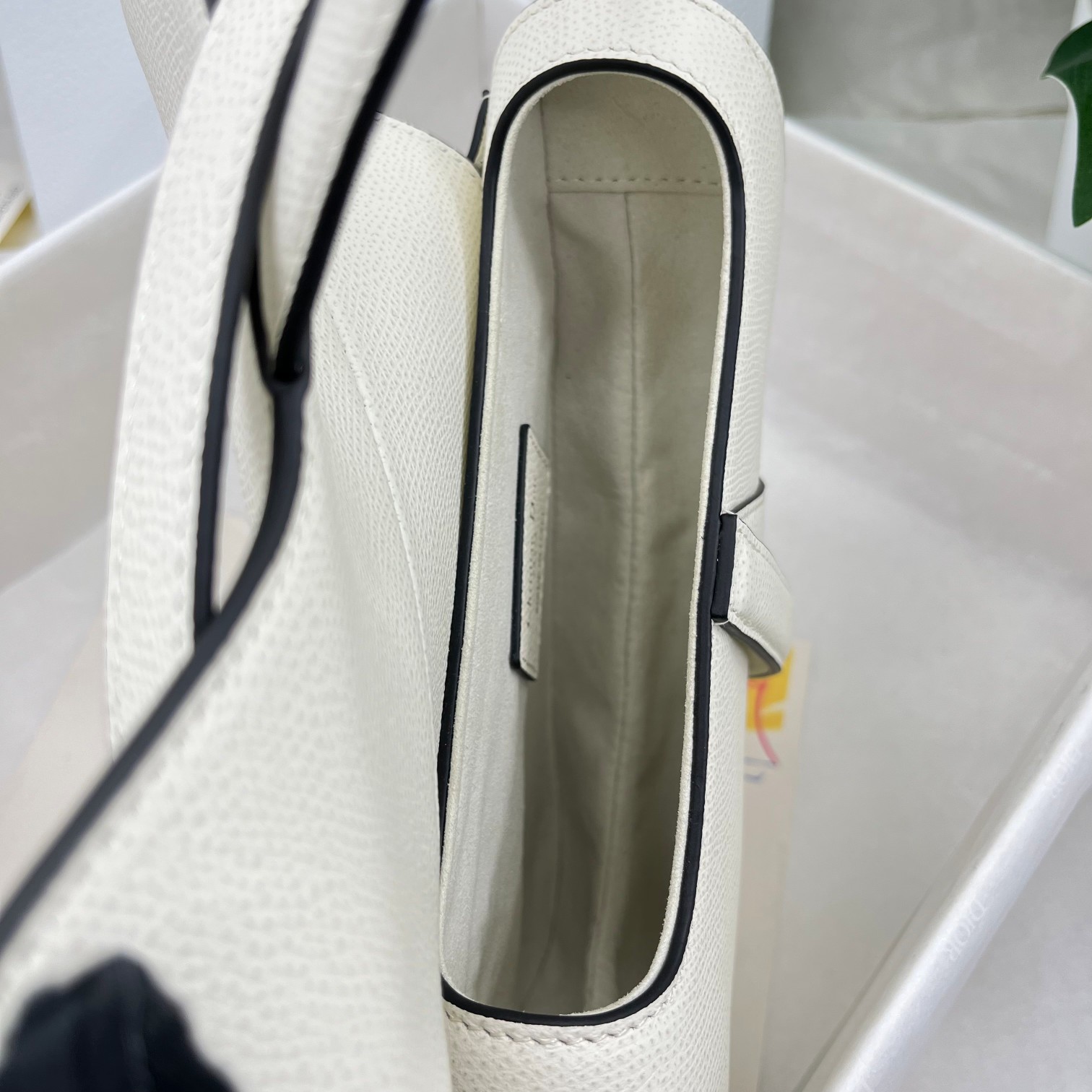 Dior saddle palm print collection