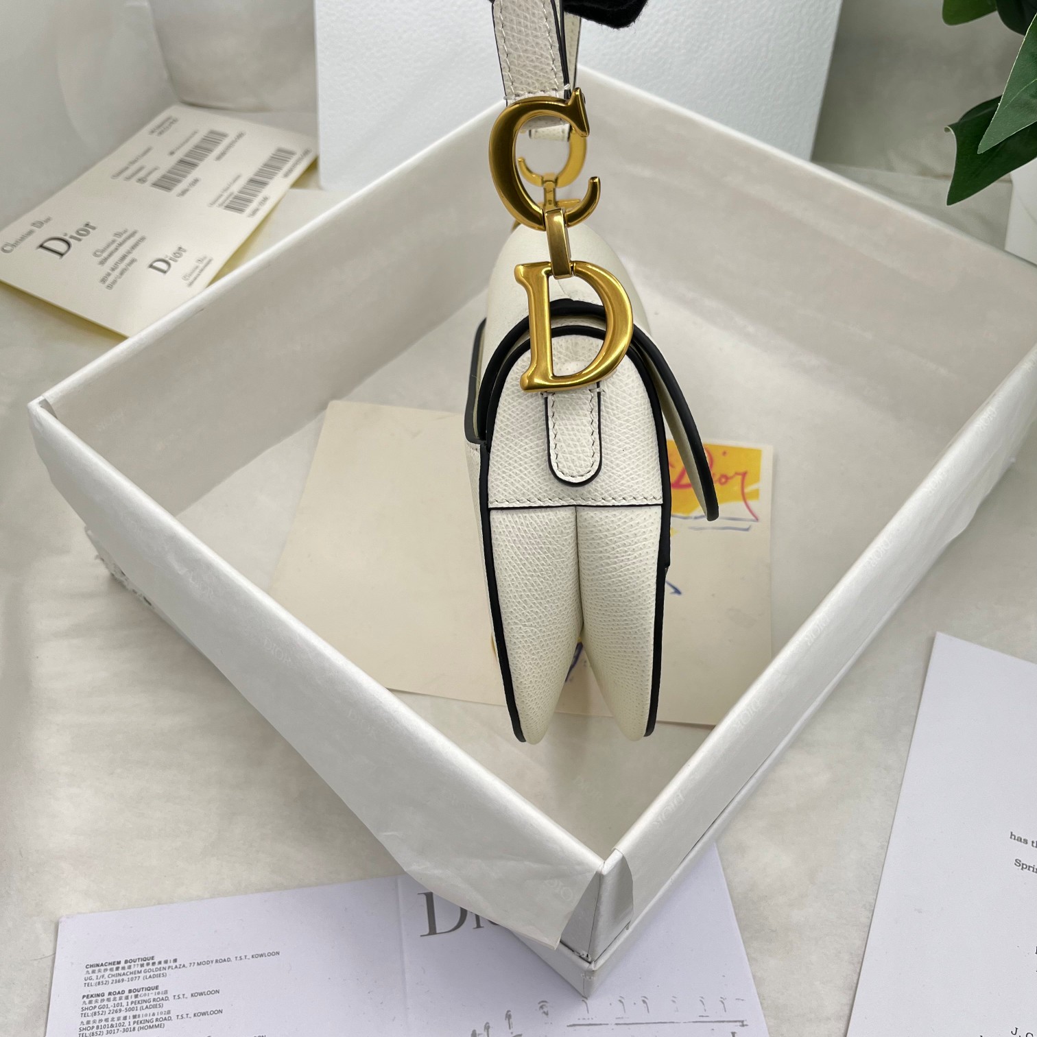 Dior saddle palm print collection