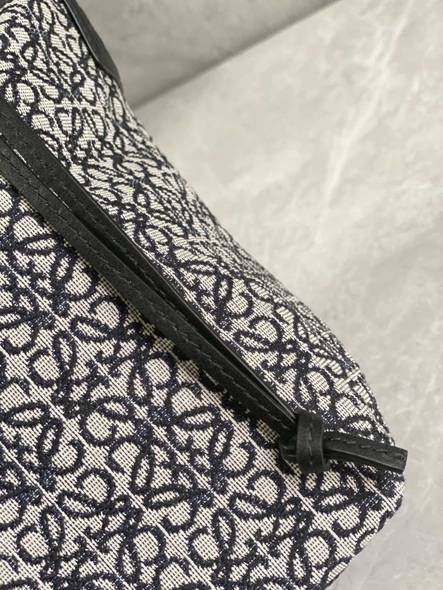 LOEWE cubi bento bag