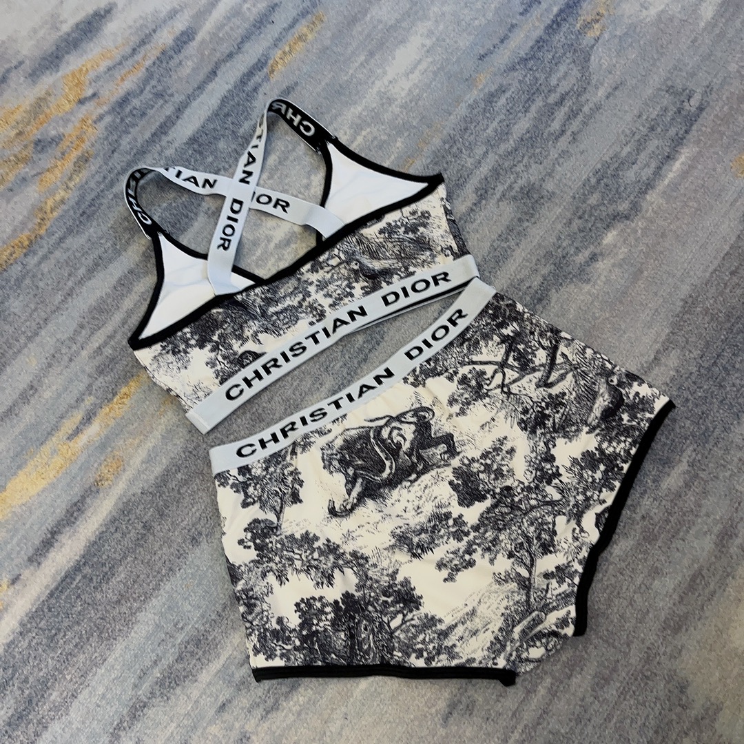 dior zoo series two piece swimsuit