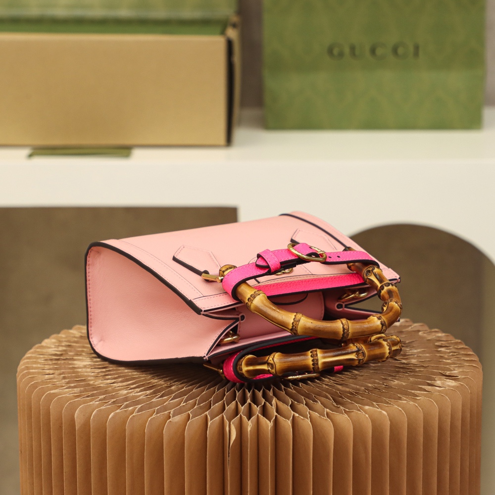 GUCCI   𝐃𝐢𝐚𝐧𝐚 𝐌𝐢𝐧𝐢 #655661