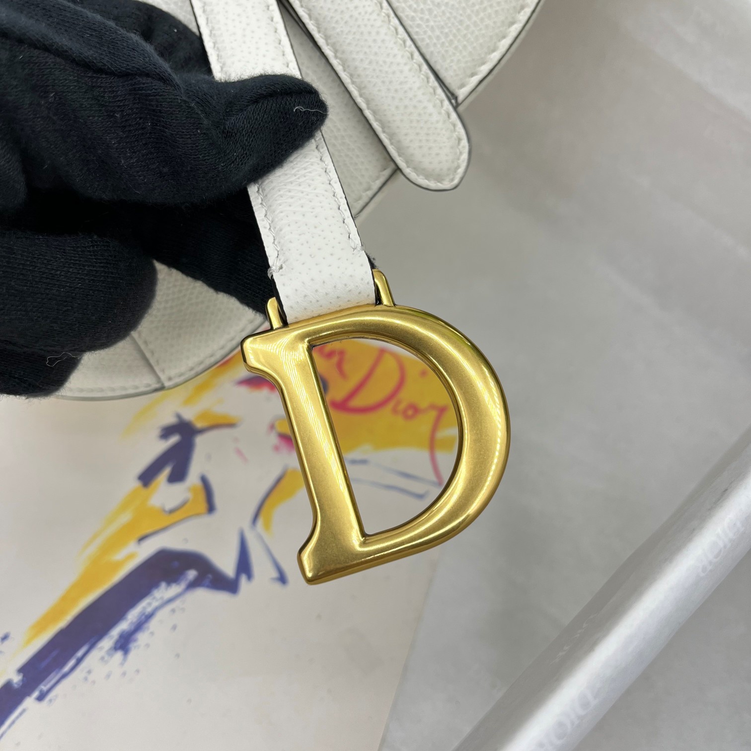 Dior saddle palm print collection