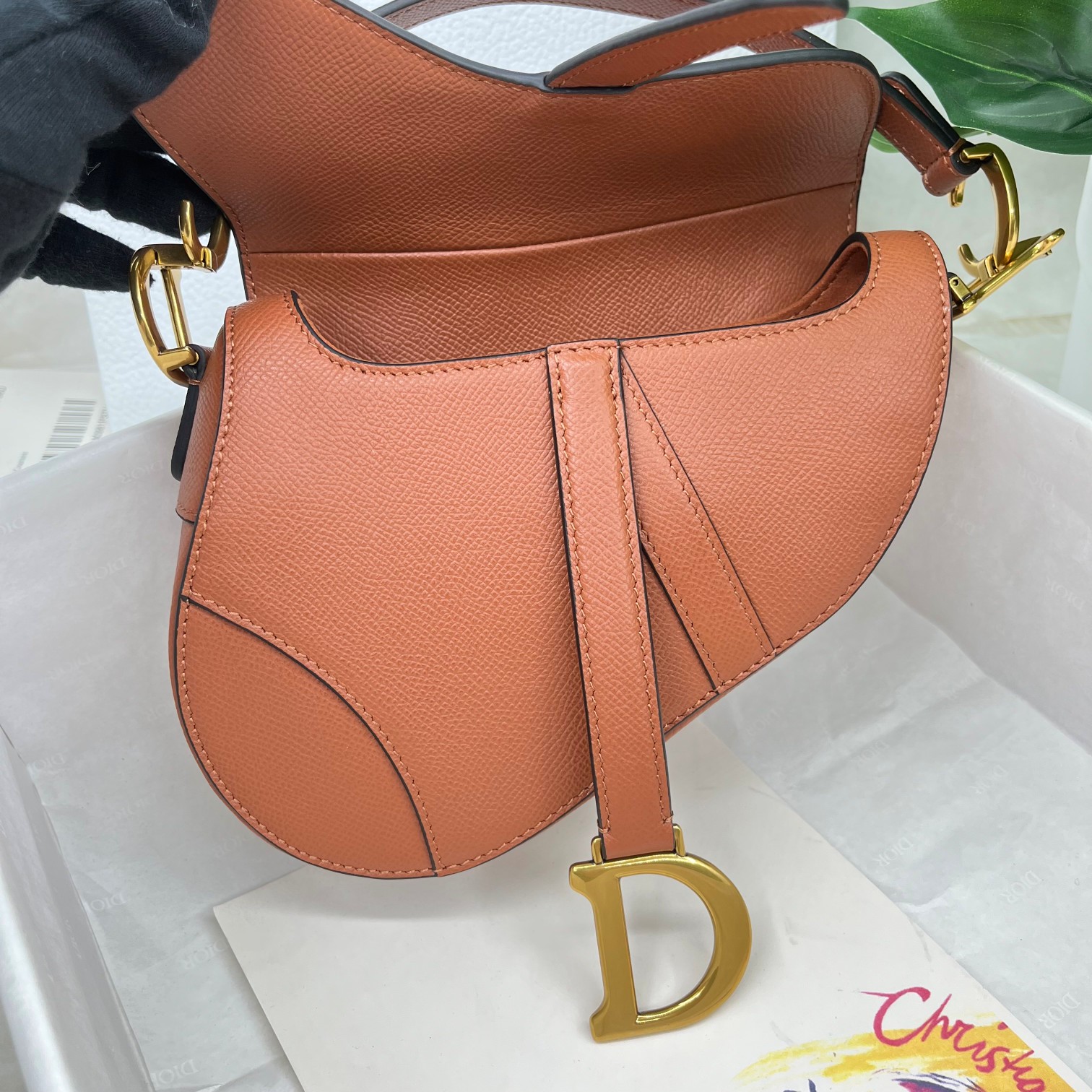 Dior saddle palm print collection