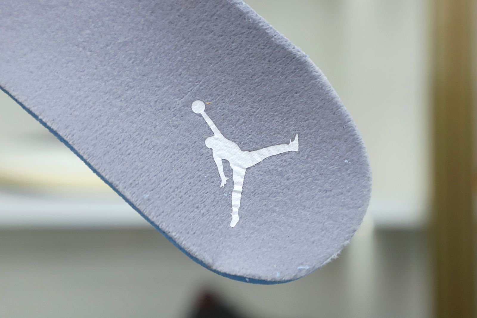 Jordan Air Jordan 12 retro stealth