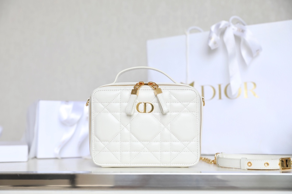 Dior box camera bag