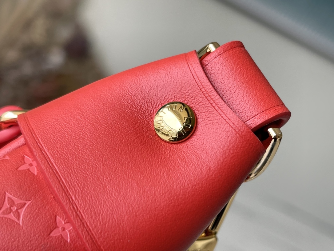 𝐋𝐎𝐔𝐈𝐒 𝐕𝐔𝐈𝐓𝐓𝐎𝐍   M22594